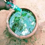 Rituel de purification d’eau, plantes naturelles du grand maître