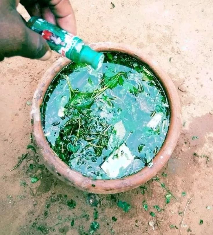Rituel de purification d’eau, plantes naturelles du grand maître